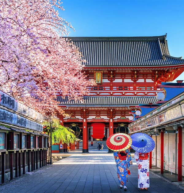 日本专线